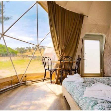 Caravans Park & Glamping Tents In The Vineyard Villa Турда Екстериор снимка
