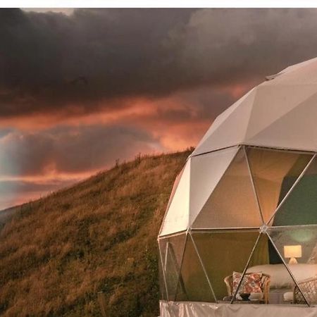 Caravans Park & Glamping Tents In The Vineyard Villa Турда Екстериор снимка