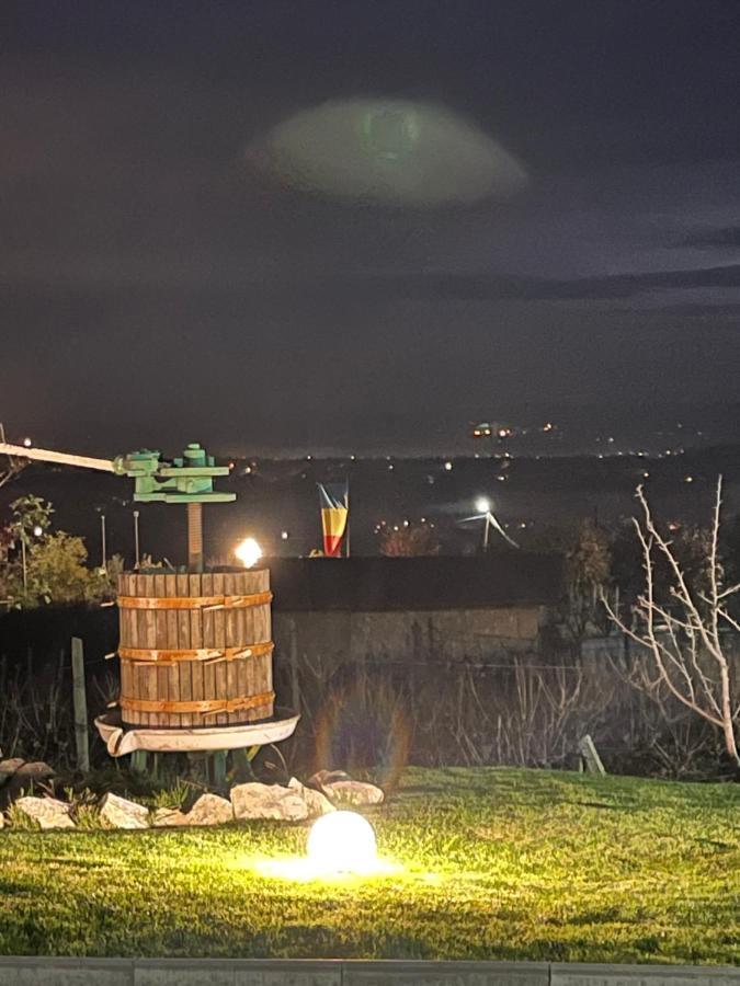 Caravans Park & Glamping Tents In The Vineyard Villa Турда Екстериор снимка