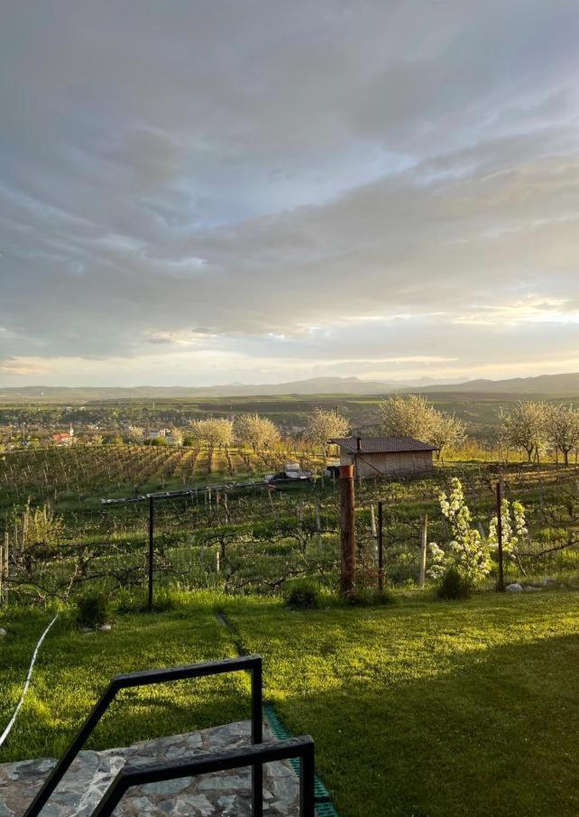 Caravans Park & Glamping Tents In The Vineyard Villa Турда Екстериор снимка