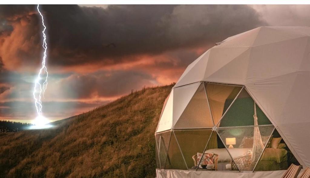 Caravans Park & Glamping Tents In The Vineyard Villa Турда Екстериор снимка